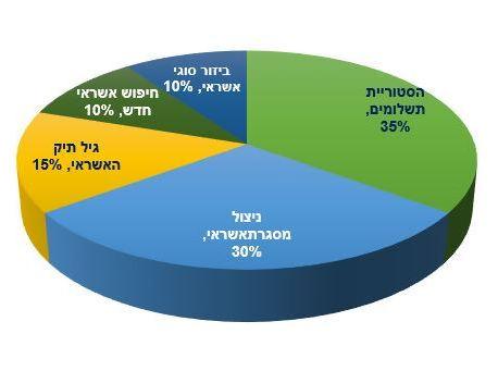 תרשים עוגה - יעל נבט